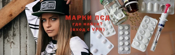 шишки Надым