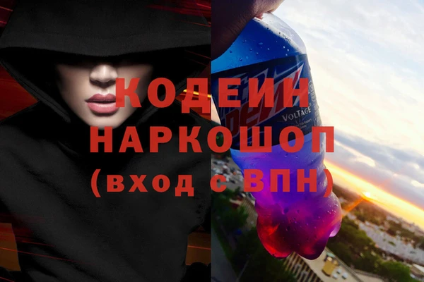 шишки Надым