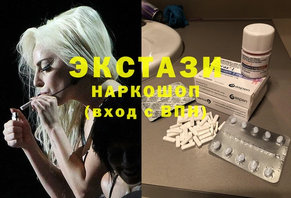 шишки Надым