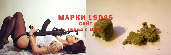 шишки Надым