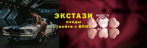 шишки Надым