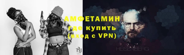 шишки Надым