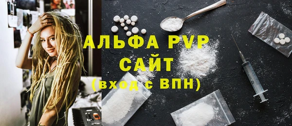 шишки Надым