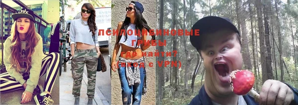 ешки Навашино