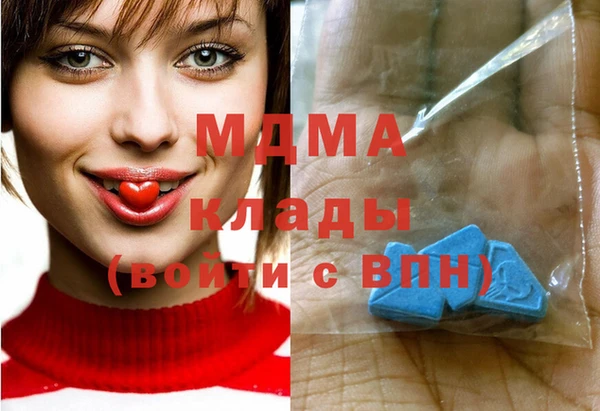 шишки Надым