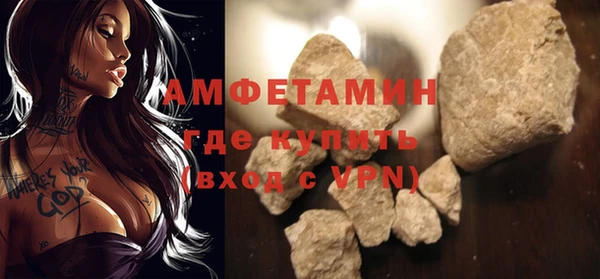 шишки Надым