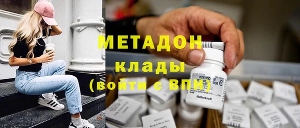 шишки Надым