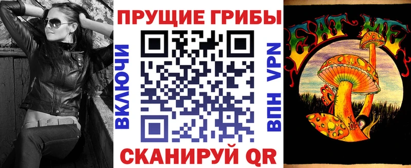 где купить наркоту  Курильск  Галлюциногенные грибы прущие грибы 