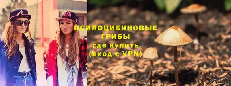 Галлюциногенные грибы MAGIC MUSHROOMS  где продают   Курильск 